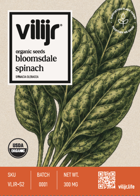 Bloomsdale Spinach Seeds