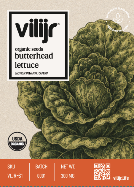 Butter Lettuce Seeds