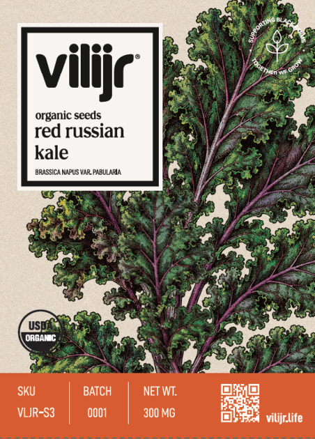 Red Russian Kale Seeds