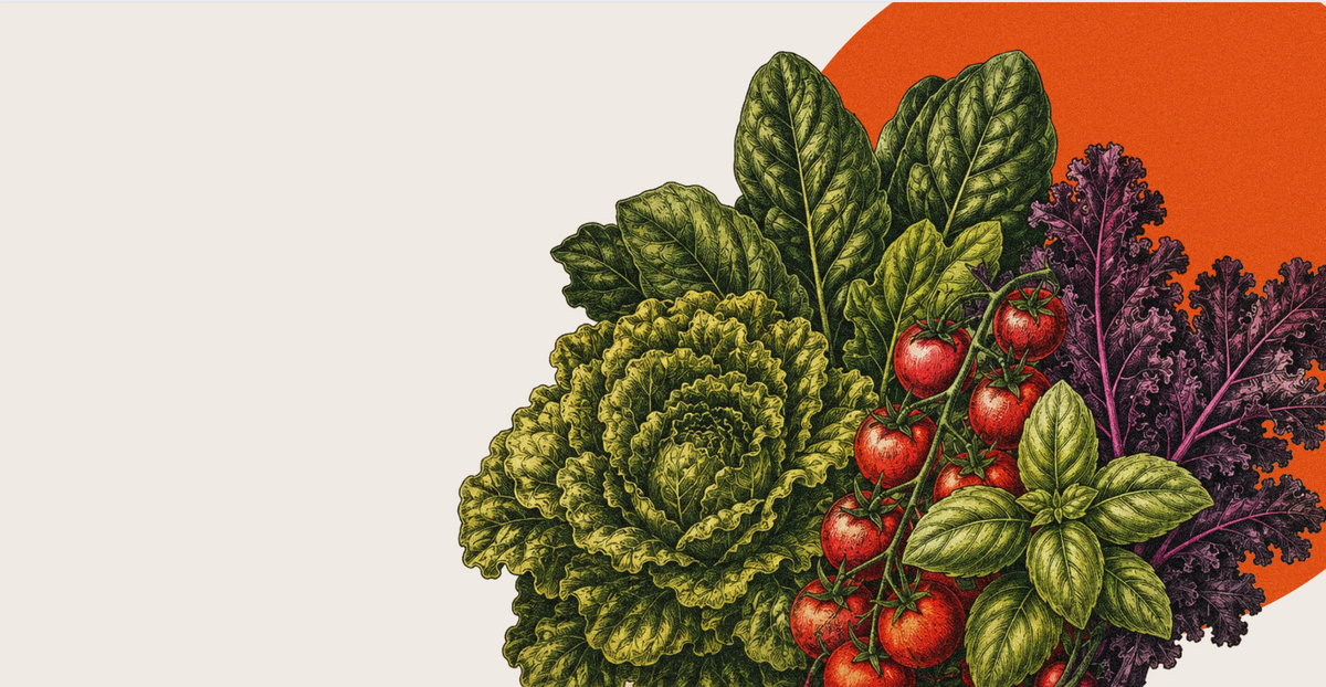 A stylized botanical illustration of assorted vegetables on the right side of the frame, including green lettuce, red tomatoes on the vine, basil leaves, and purple kale, set against a cream background with a large orange shape behind them.